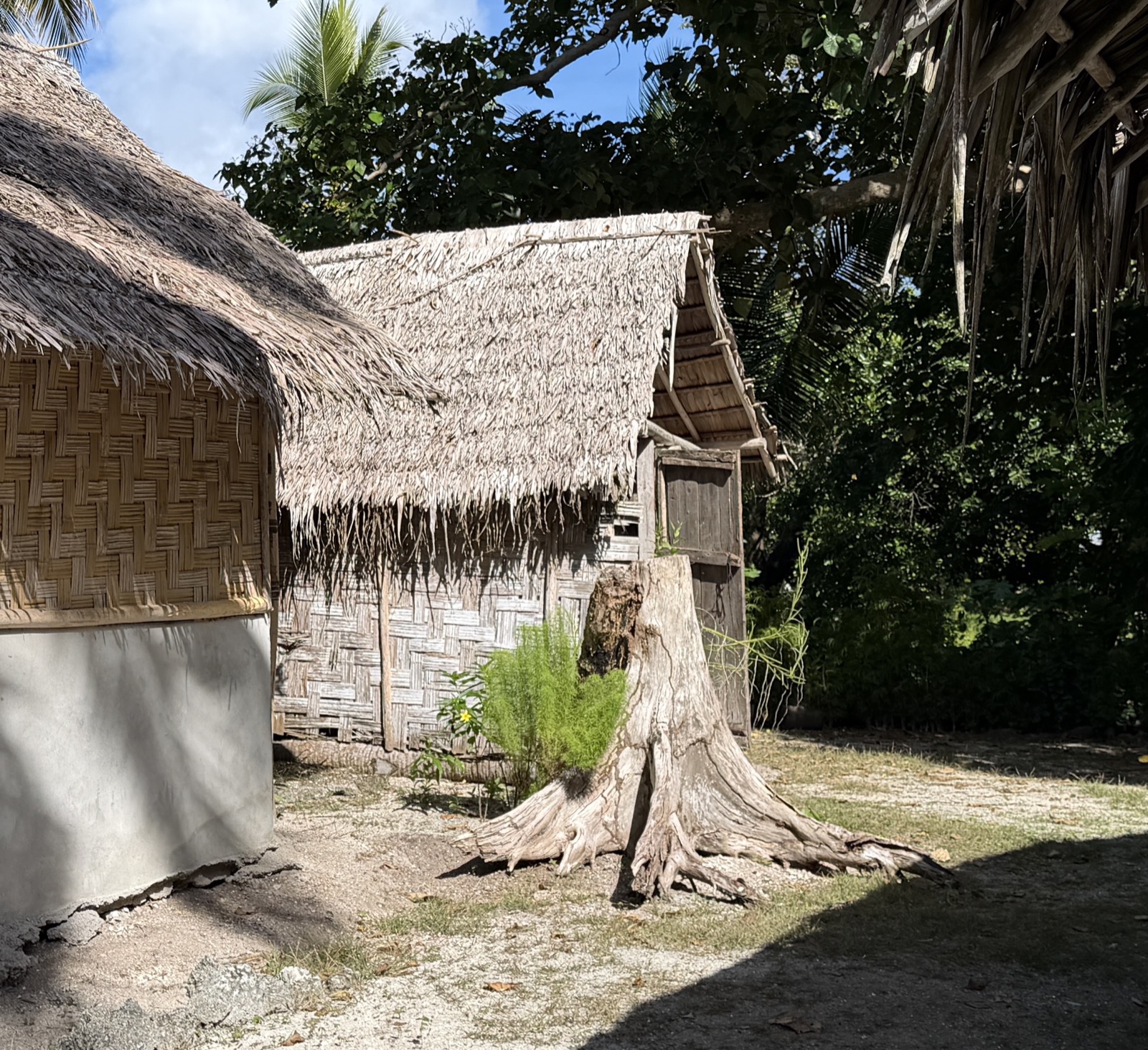 Traditional thatched-roof bathroom structure