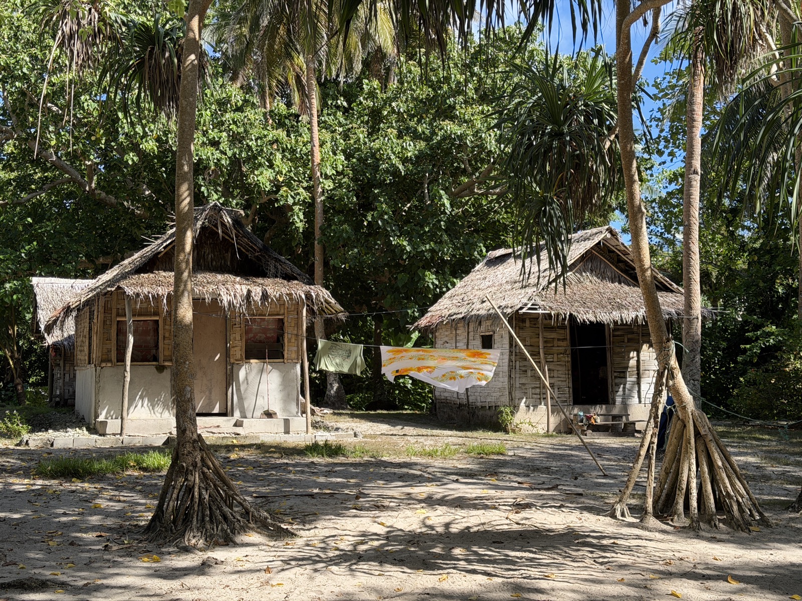 Two thatched-roof bungalows among palm trees