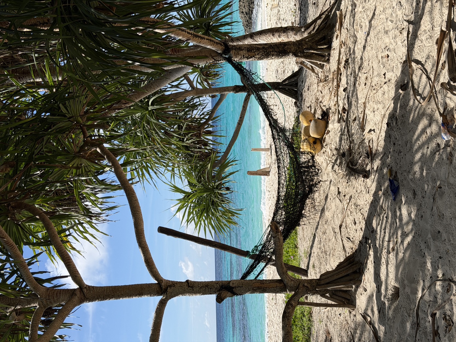 Hammock strung between trees on the beach with turquoise water beyond