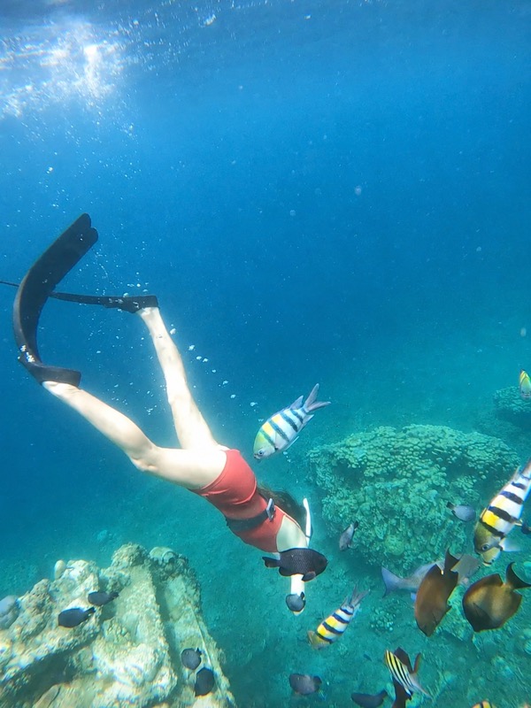 Snorkeler swimming over a coral reef with tropical fish